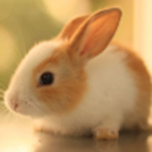 Meet your Posher, Sabrina